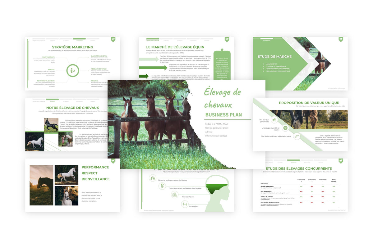 Business plan Élevage Chevaux
