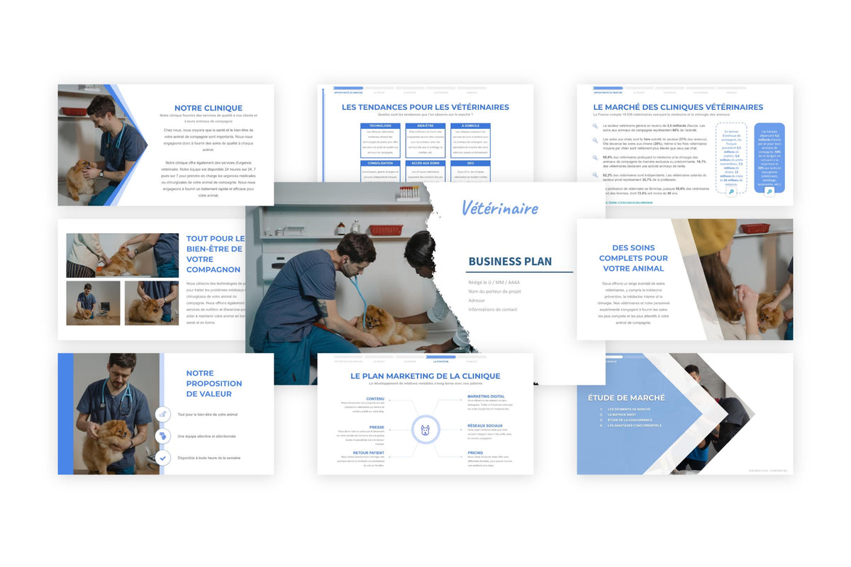 Business plan Clinique Vétérinaire