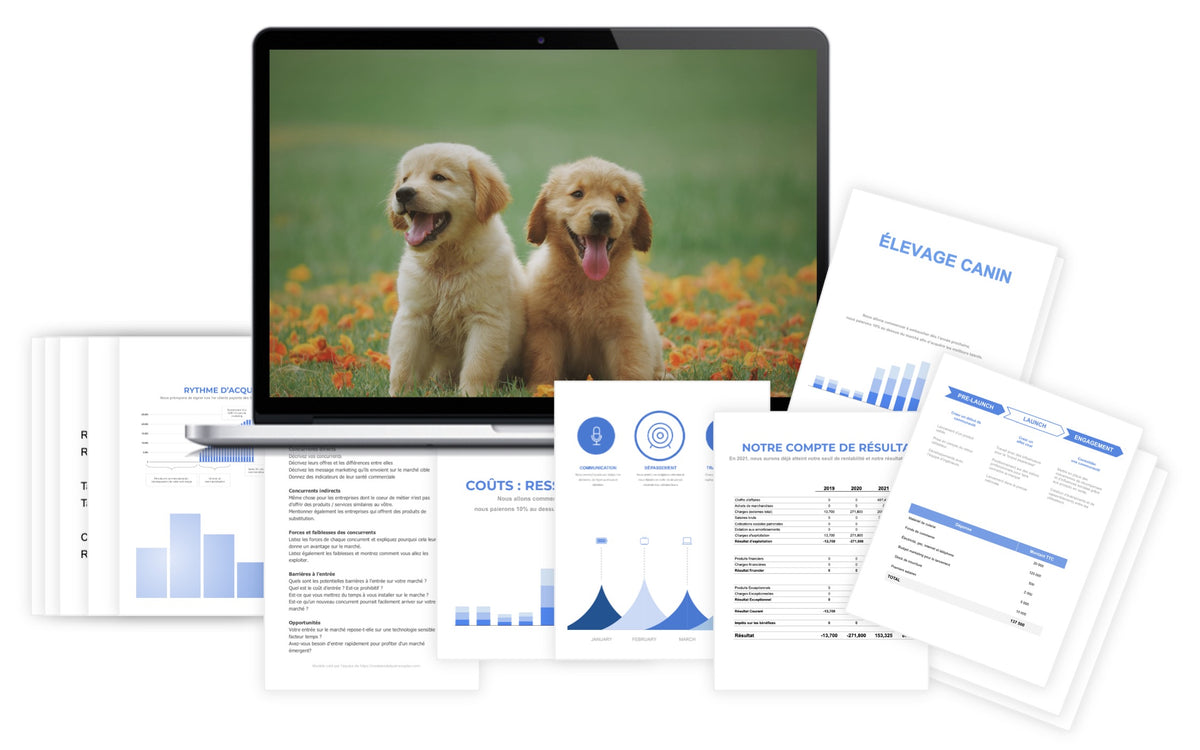 Pr&eacute;visionnel financier Élevage Canin