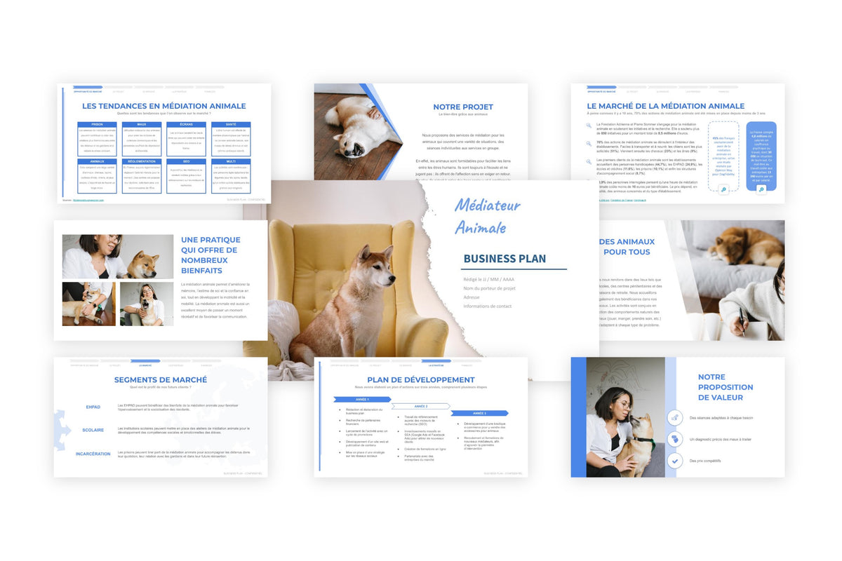 Business plan Médiation Animale