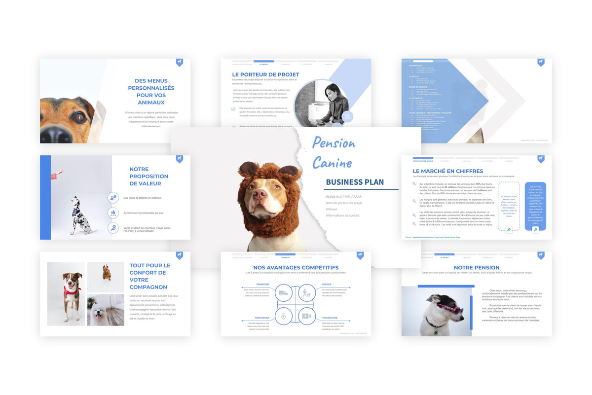 Business plan Pension Canine