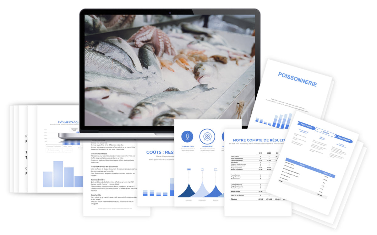 Pr&eacute;visionnel financier Poissonnerie