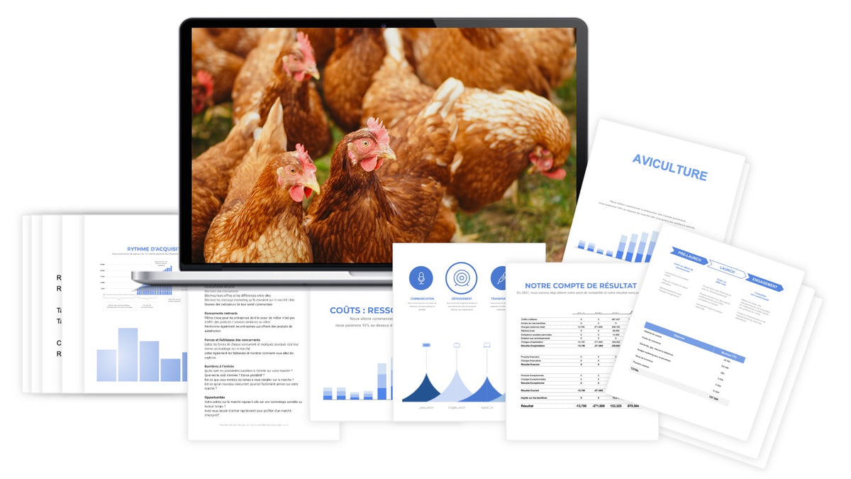 Pr&eacute;visionnel financier Aviculture