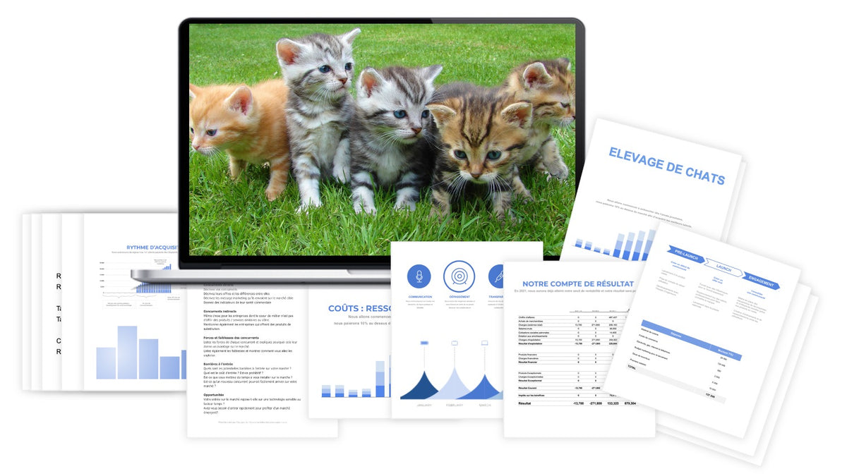 Pr&eacute;visionnel financier Élevage de Chats
