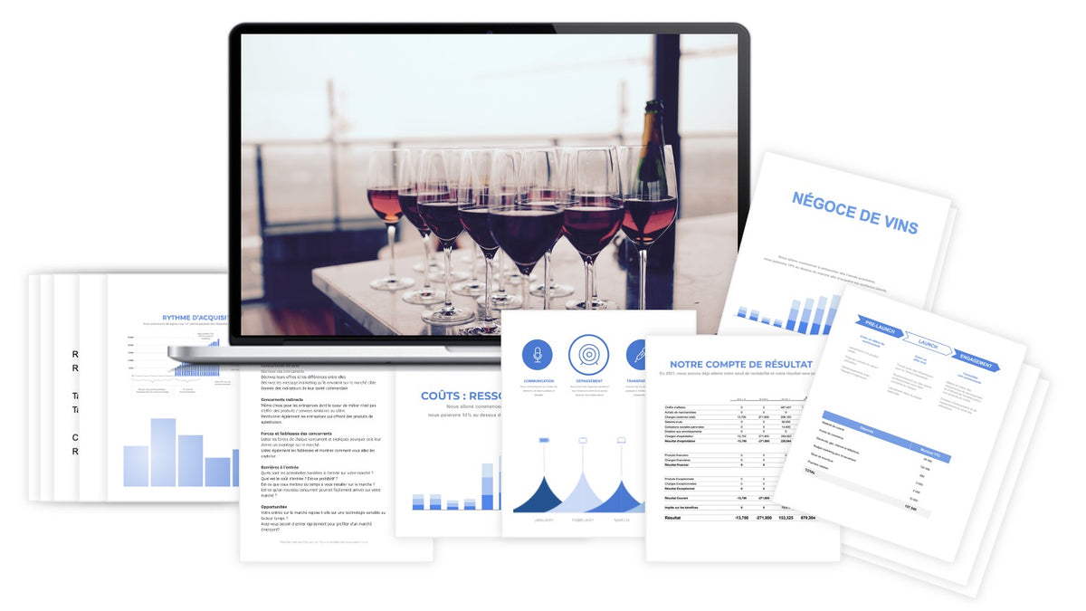 Pr&eacute;visionnel financier Négoce de Vins