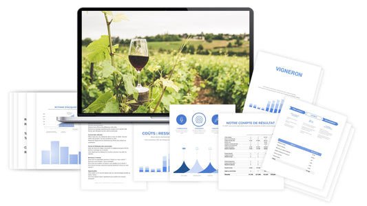 Vigneron prévisionnel financier