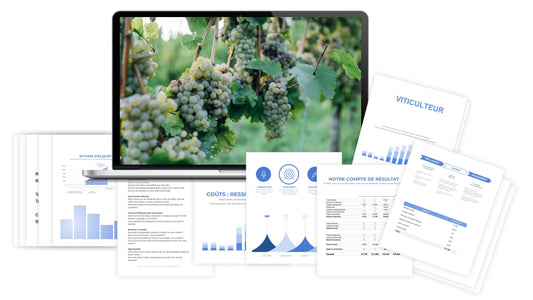 Viticulteur prévisionnel financier