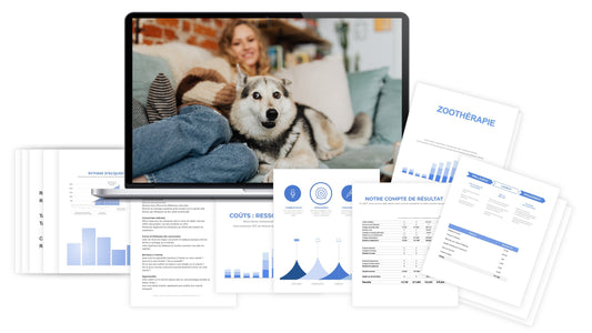 Zoothérapie prévisionnel financier