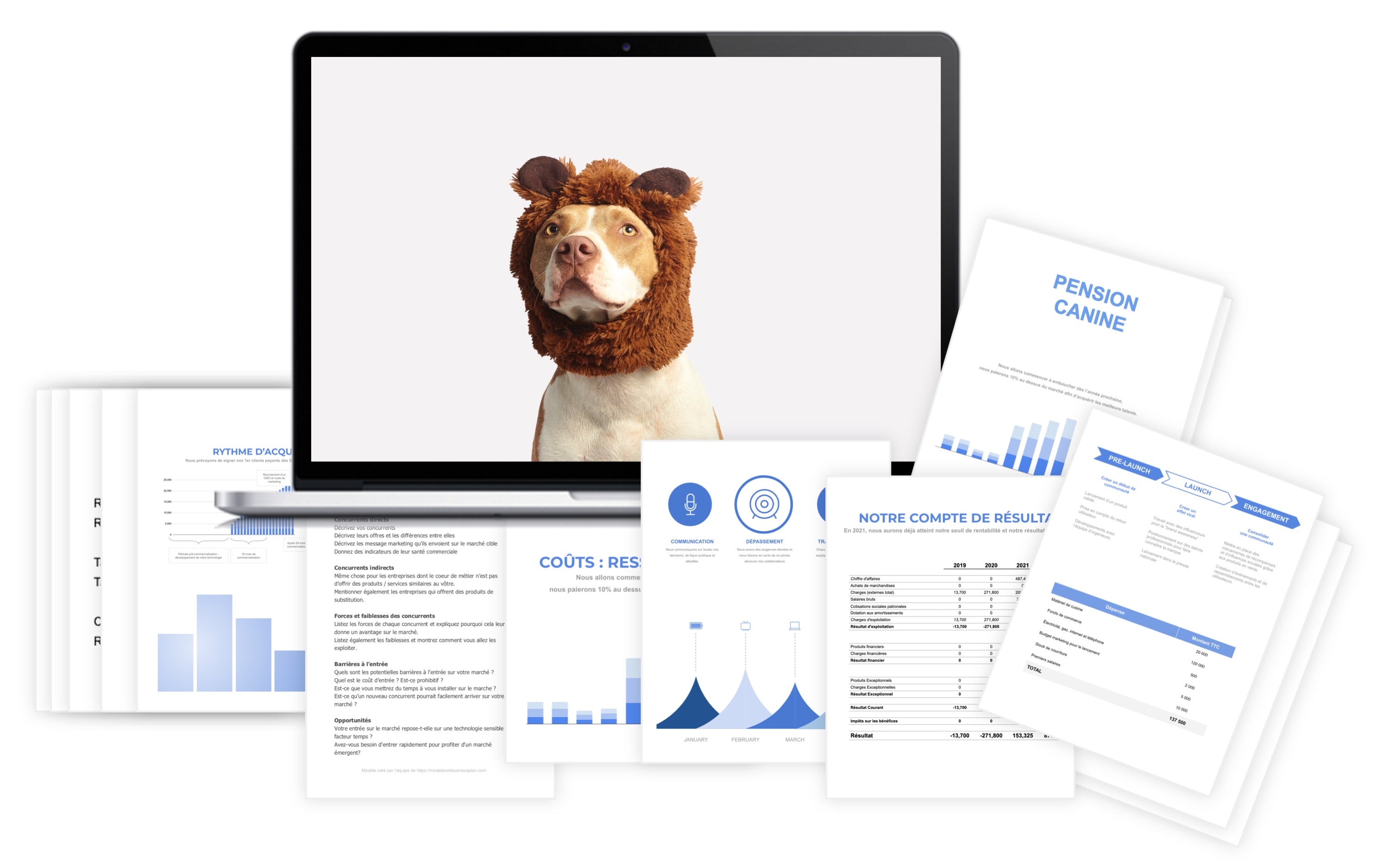 Pension Canine Prévisionnel financier - Plus de 150 modèles de Business Plan à télécharger
