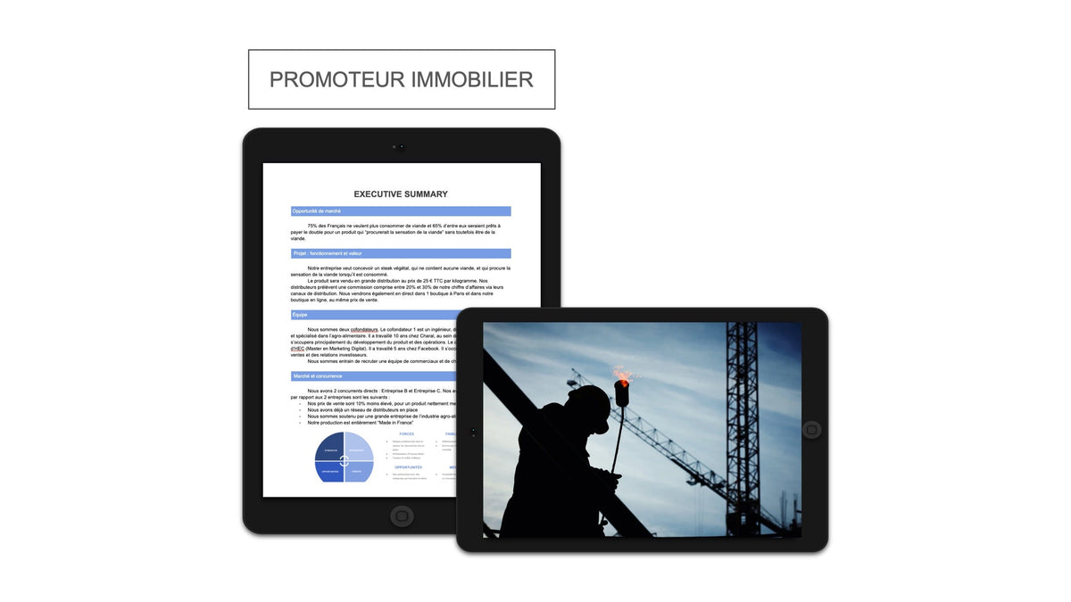 Executive summary Promoteur Immobilier