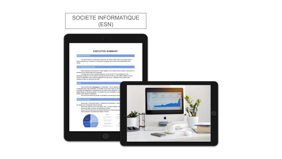 Société Informatique (ESN) Executive Summary