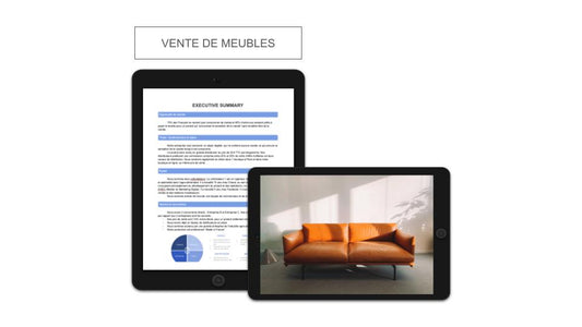 Vente de Meubles Executive Summary